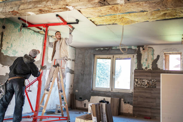 Types of Insulation We Offer in Homewood, IL