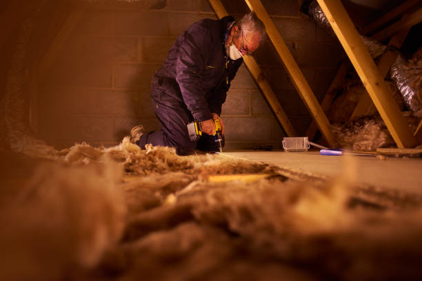 Best Specialized Insulation Services in Homewood, IL